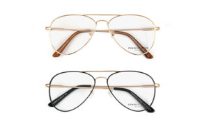 Lunettes Charles Stone
